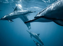 完美体育-侯森神勇两连扑封堵侯永必进球，旧将反戈一击失良机