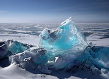 黄金甲体育官方网站：开启健康生活的新入口